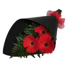 3 Red Gerberas in a Bouquet